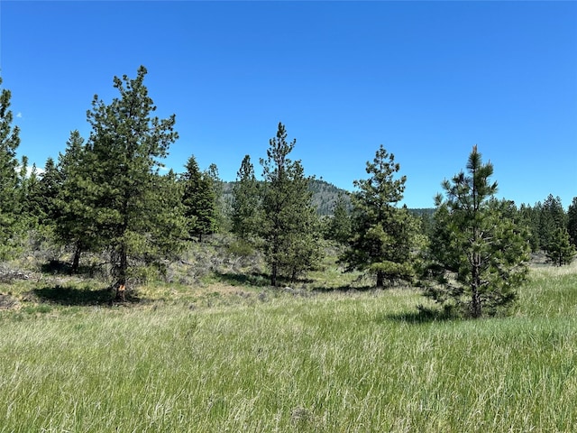NHN River Rd W, Plains, MT 59859