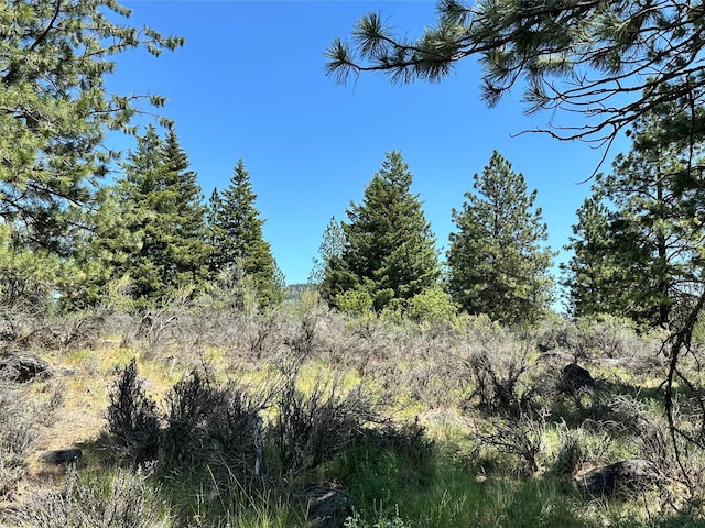 NHN River Rd W, Plains, MT 59859