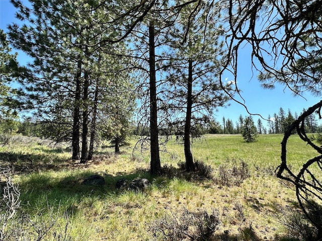 NHN River Rd W, Plains, MT 59859