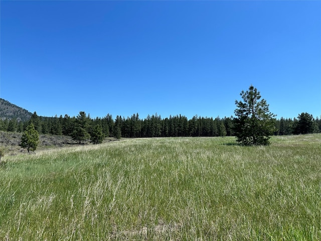 NHN River Rd W, Plains, MT 59859