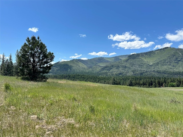 NHN River Rd W, Plains, MT 59859