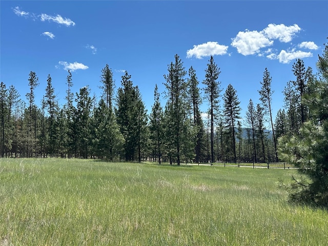 NHN River Rd W, Plains, MT 59859