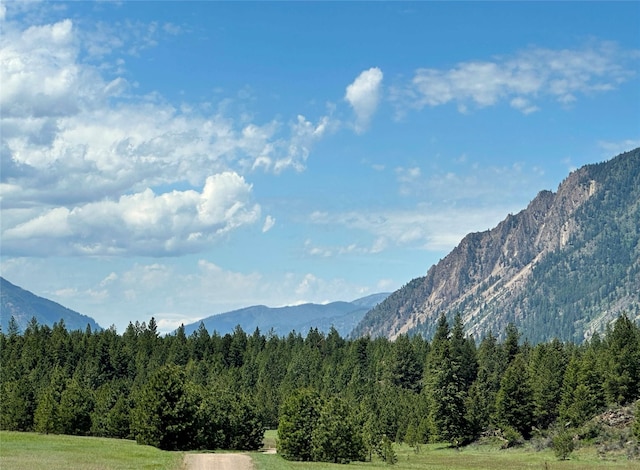 NHN River Rd W, Plains, MT 59859