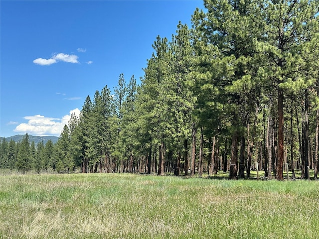 NHN River Rd W, Plains, MT 59859