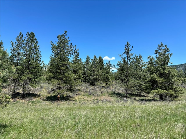 NHN River Rd W, Plains, MT 59859