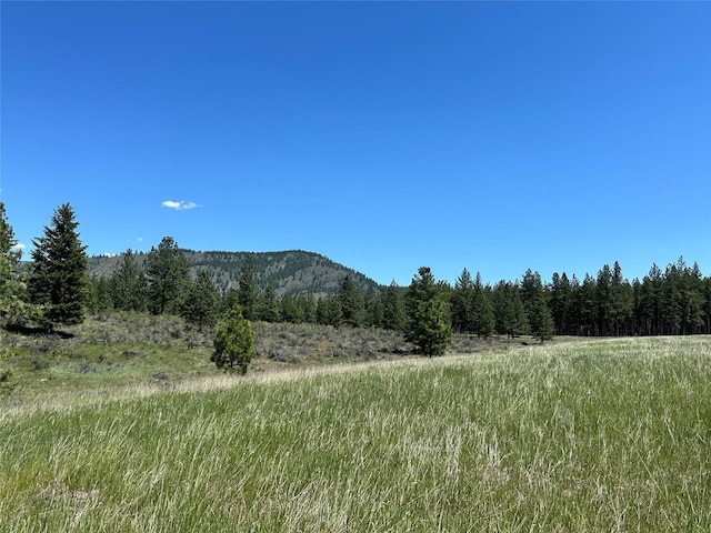 NHN River Rd W, Plains, MT 59859