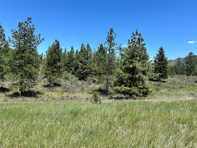 NHN River Rd W, Plains, MT 59859
