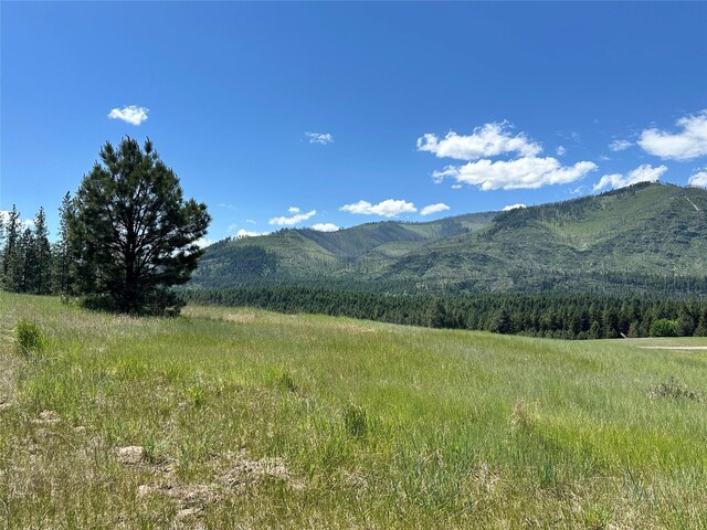 NHN River Rd W, Plains, MT 59859