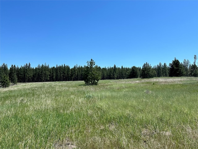 NHN River Rd W, Plains, MT 59859