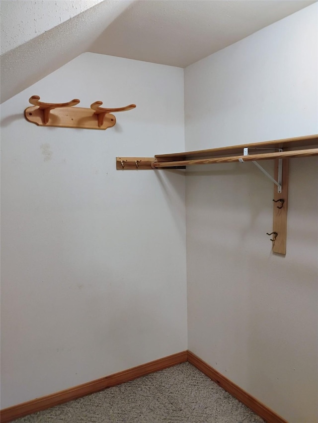 5 Pronghorn Dr, Clancy, MT 59634 - walk in closet with light carpet