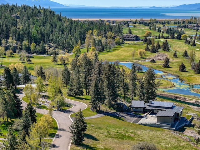 62 Eagle Rock Dr, Bigfork, MT 59911