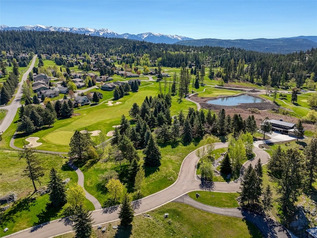 62 Eagle Rock Dr, Bigfork, MT 59911