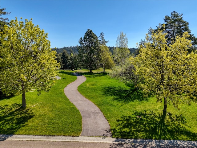 62 Eagle Rock Dr, Bigfork, MT 59911