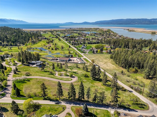 62 Eagle Rock Dr, Bigfork, MT 59911