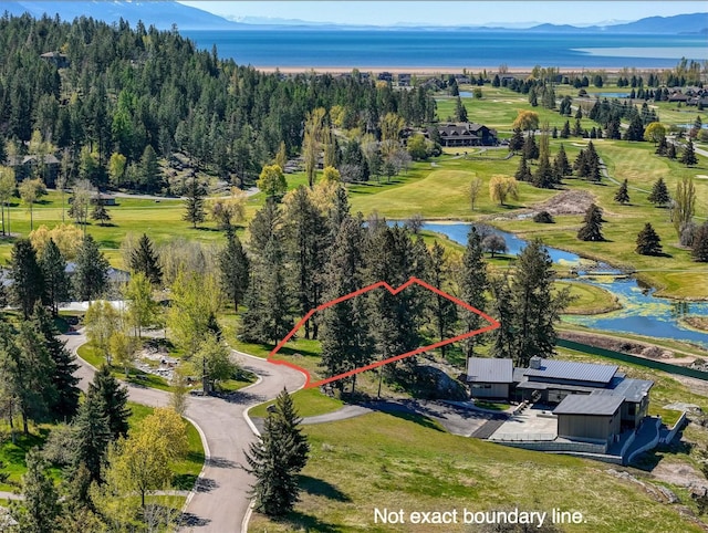 62 Eagle Rock Dr, Bigfork, MT 59911