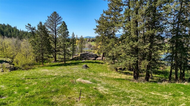 62 Eagle Rock Dr, Bigfork, MT 59911