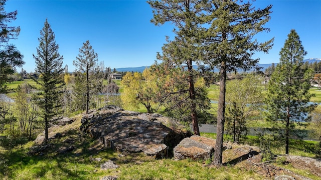 62 Eagle Rock Dr, Bigfork, MT 59911