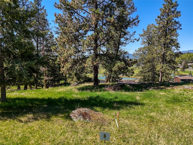 62 Eagle Rock Dr, Bigfork, MT 59911
