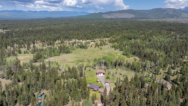 1065 Evergreen Dr, Seeley Lake, MT 59868 - aerial overview of property's location with mountains