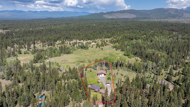 1065 Evergreen Dr, Seeley Lake, MT 59868 - aerial overview of property's location with mountains and property parcel outlined