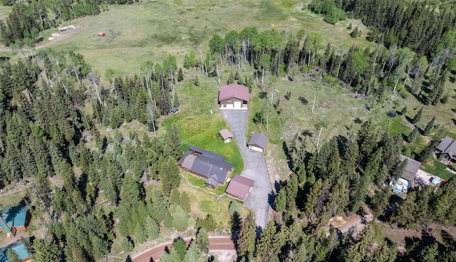1065 Evergreen Dr, Seeley Lake, MT 59868 - view of property location