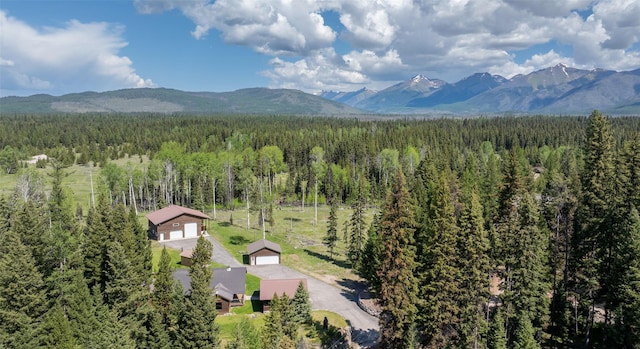 1065 Evergreen Dr, Seeley Lake, MT 59868 - view of mountain background with a heavily wooded area