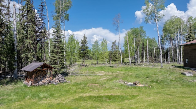 1065 Evergreen Dr, Seeley Lake, MT 59868 - view of yard