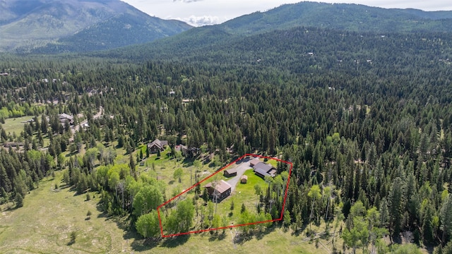 1065 Evergreen Dr, Seeley Lake, MT 59868 - aerial overview of property's location featuring a heavily wooded area, a mountain backdrop, and property boundaries highlighted