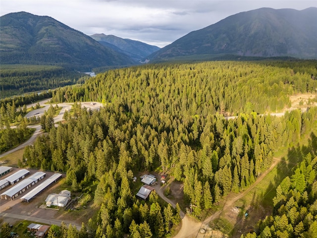 137 Amber Rd, Troy, MT 59935 - view of mountain background featuring a heavily wooded area