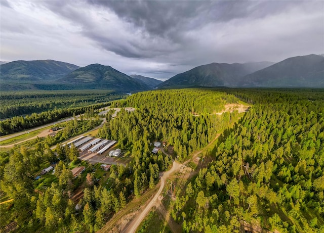 137 Amber Rd, Troy, MT 59935 - view of mountain backdrop featuring a heavily wooded area