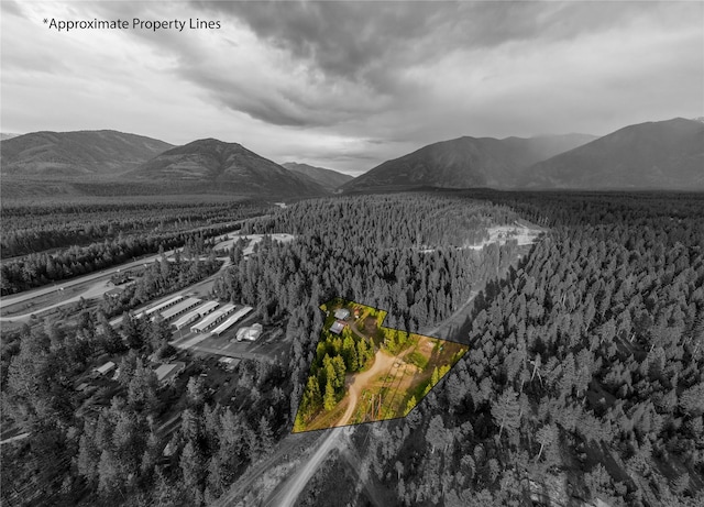 137 Amber Rd, Troy, MT 59935 - mountain view with a forest
