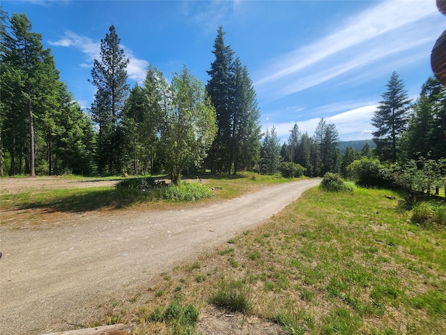 137 Amber Rd, Troy, MT 59935 - view of dirt / gravel road featuring a wooded view