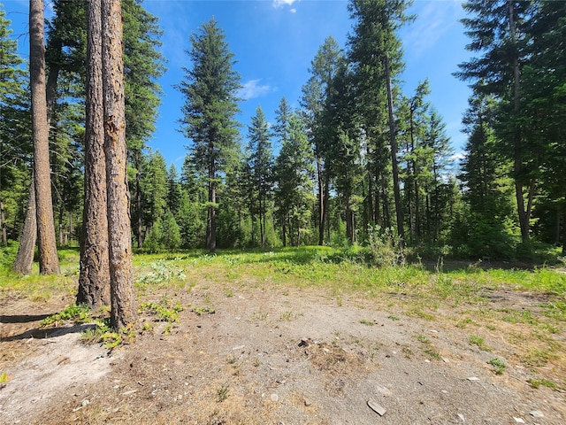 137 Amber Rd, Troy, MT 59935 - view of tree filled area