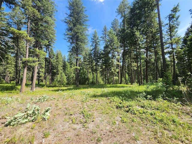 137 Amber Rd, Troy, MT 59935 - view of wooded area
