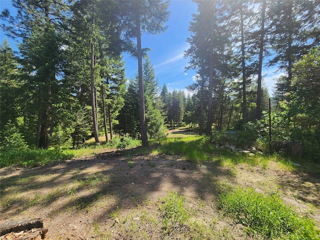 137 Amber Rd, Troy, MT 59935 - view of nature