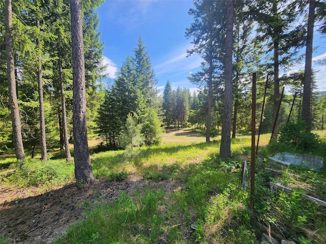 137 Amber Rd, Troy, MT 59935 - view of undeveloped land