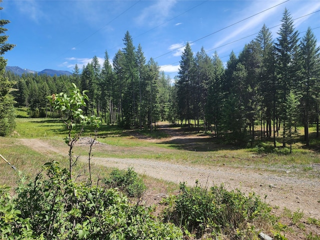 137 Amber Rd, Troy, MT 59935 - view of dirt / gravel road