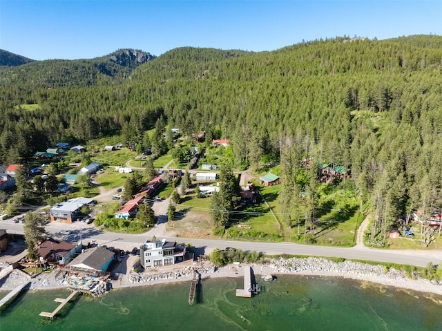 14690 Shore Acres Dr, Bigfork, MT 59911 - view of property location with a forest and a water and mountain view