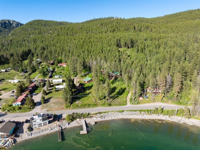 14690 Shore Acres Dr, Bigfork, MT 59911 - view of property location featuring a heavily wooded area and a nearby body of water