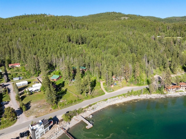14690 Shore Acres Dr, Bigfork, MT 59911 - aerial overview of property's location featuring a forest and a large body of water