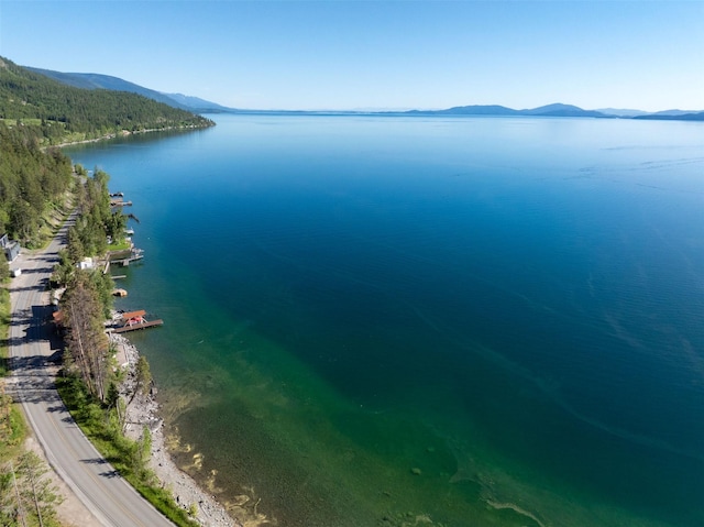 14690 Shore Acres Dr, Bigfork, MT 59911 - water view with a mountainous background