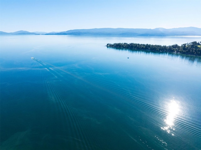14690 Shore Acres Dr, Bigfork, MT 59911 - water view with mountains
