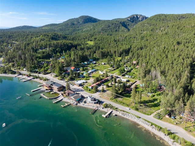 14690 Shore Acres Dr, Bigfork, MT 59911 - aerial view of property's location with a heavily wooded area and a water and mountain view