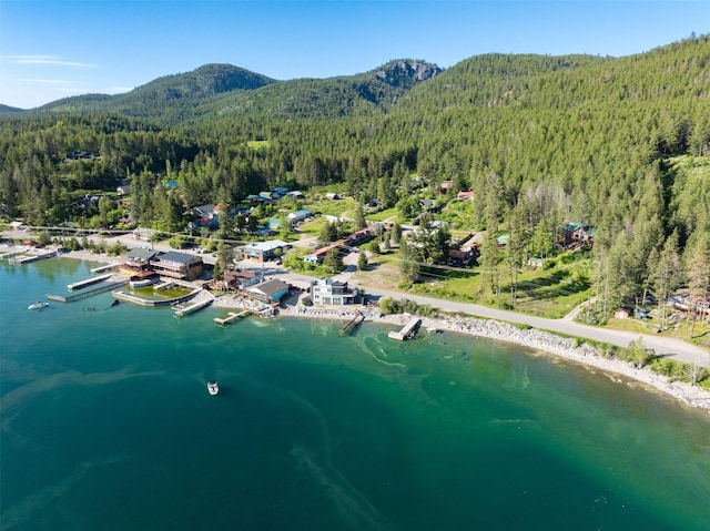 14690 Shore Acres Dr, Bigfork, MT 59911 - aerial overview of property's location with a heavily wooded area and a water and mountain view