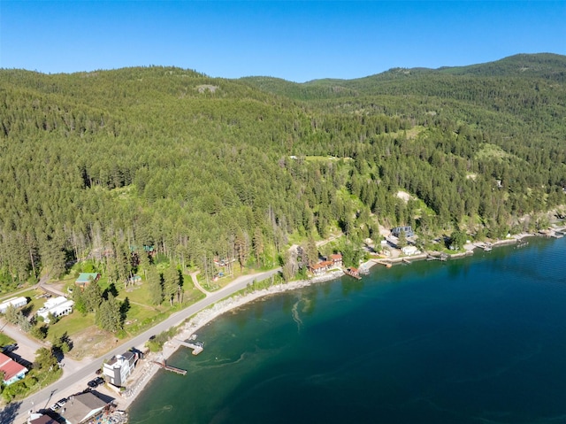 14690 Shore Acres Dr, Bigfork, MT 59911 - aerial view of property and surrounding area featuring a heavily wooded area and a water and mountain view