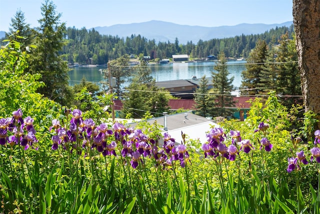 14690 Shore Acres Dr, Bigfork, MT 59911 - water view featuring a heavily wooded area and a mountainous background