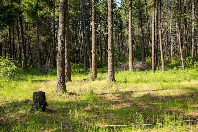 14690 Shore Acres Dr, Bigfork, MT 59911 - view of tree filled area