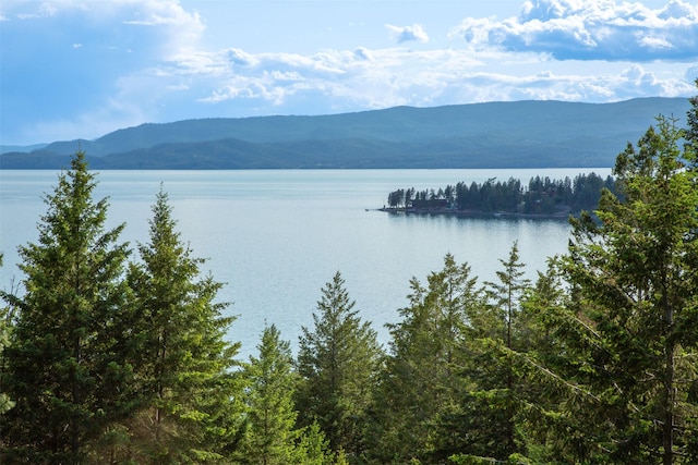 14690 Shore Acres Dr, Bigfork, MT 59911 - water view with a mountainous background