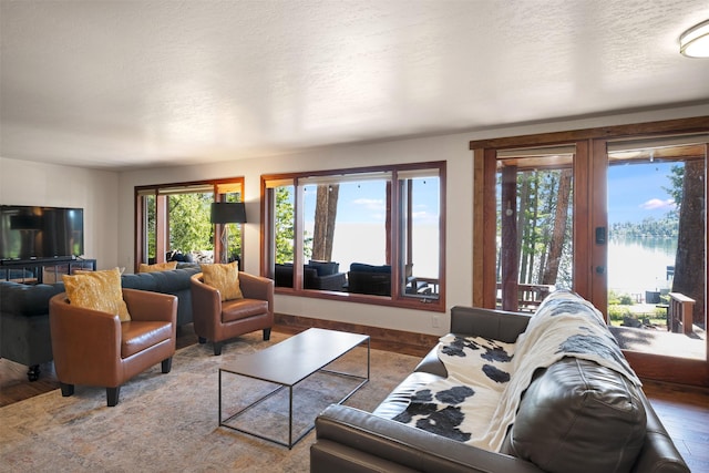 14690 Shore Acres Dr, Bigfork, MT 59911 - living room with plenty of natural light, wood finished floors, a water view, and a textured ceiling