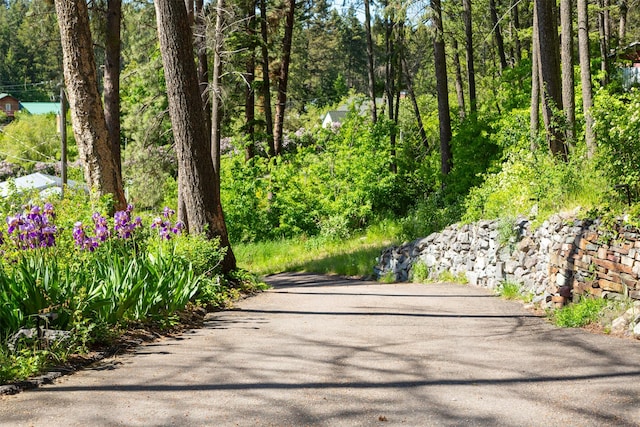 14690 Shore Acres Dr, Bigfork, MT 59911 - view of asphalt road with a forest view